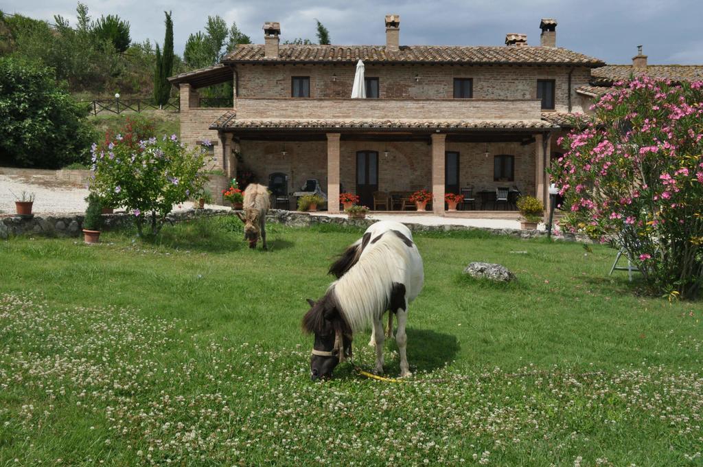 Farm Stay Il Carro Del Colle Collevalenza Exterior foto
